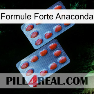 Anaconda Strong Formula 05